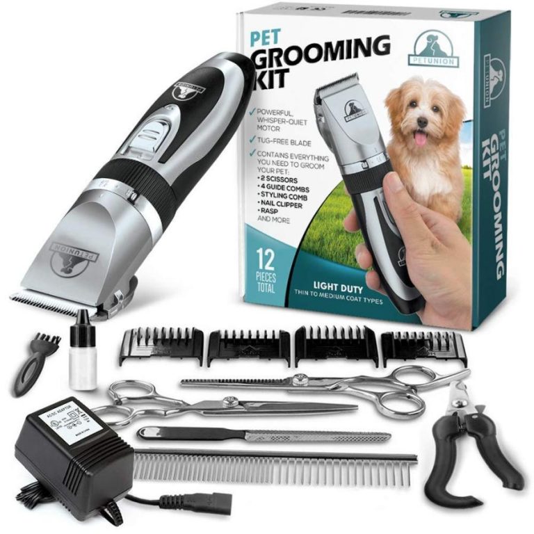 What To Consider When Choosing A Dog Grooming Kit