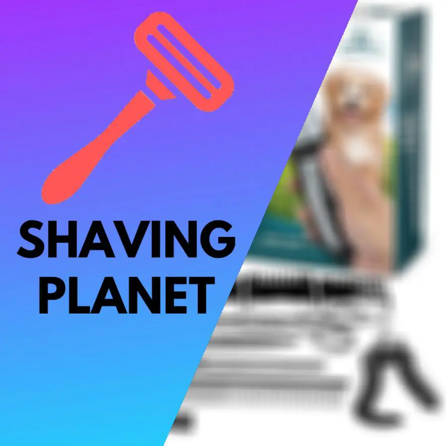 What To Consider When Choosing A Dog Grooming Kit – Shaving Planet