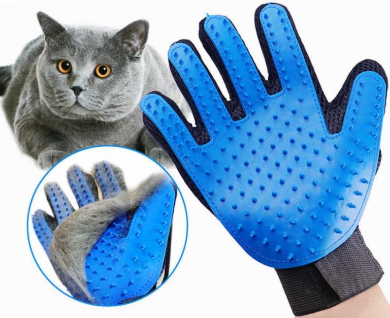 What to Consider When Choosing Cat Grooming Gloves
