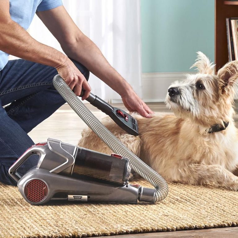 What to Consider When Choosing a Dog Grooming Vacuum